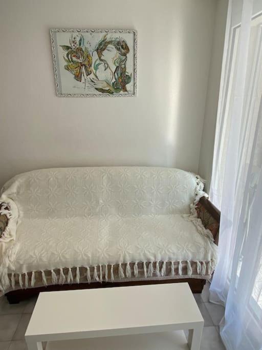Appartement 23 M2 A Nice, 2E Ligne Du Front De Mer エクステリア 写真